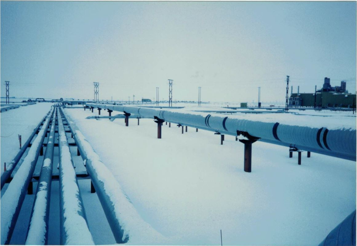 Petroleum Pipeline