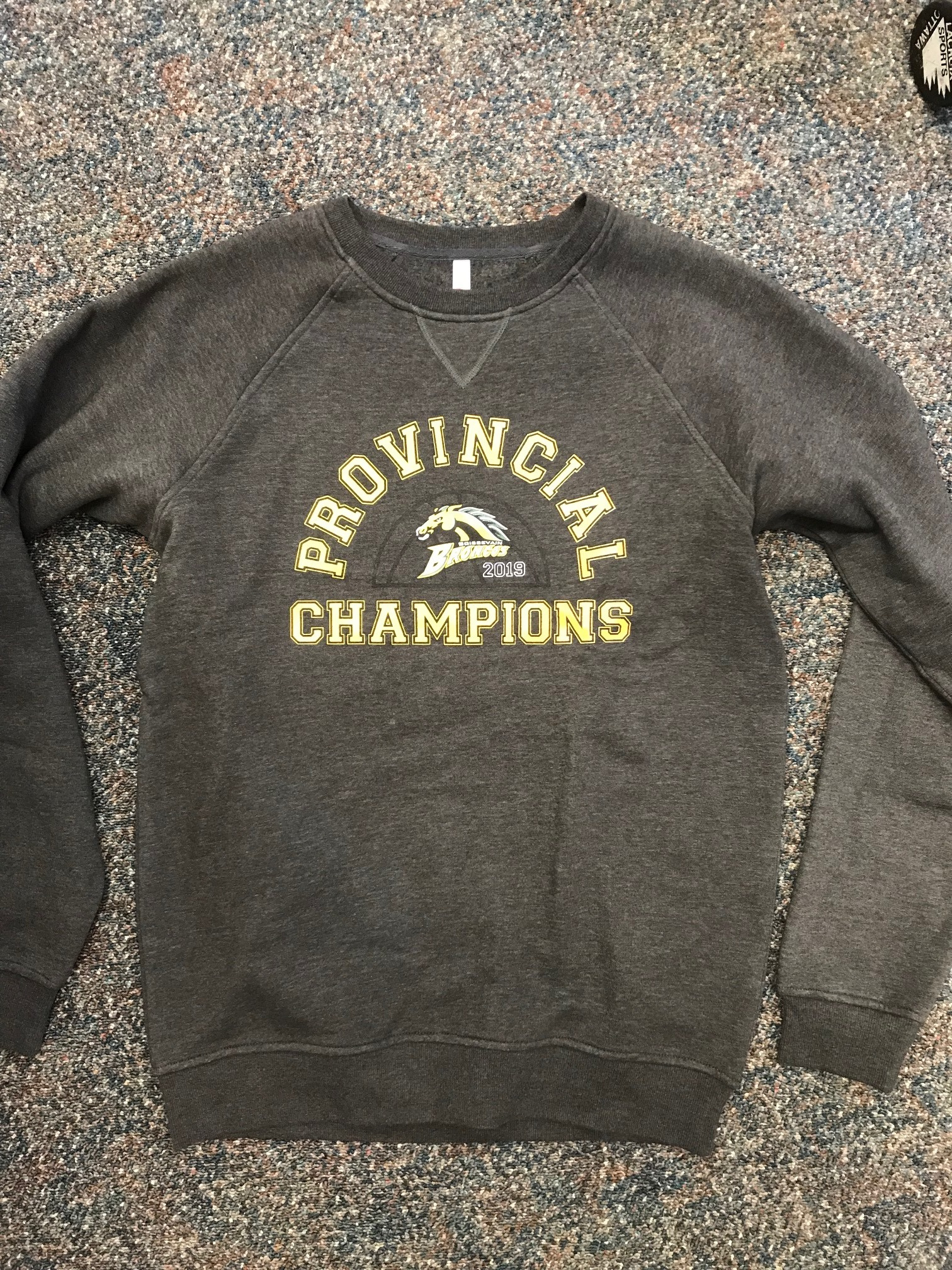 https://0901.nccdn.net/4_2/000/000/03f/ac7/Bronco-Champions-sweat-shirts-1512x2016.jpg