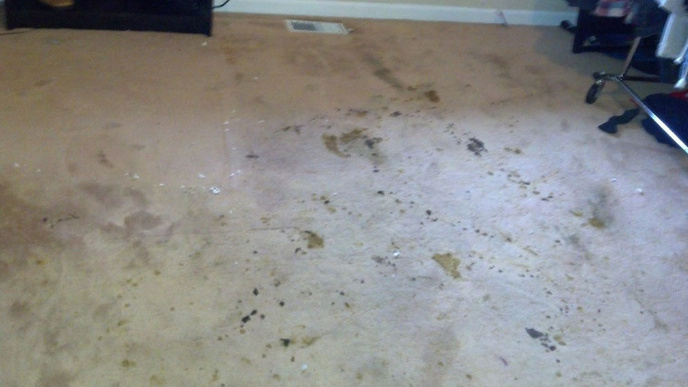 https://0901.nccdn.net/4_2/000/000/03f/ac7/Carpet-Cleaning-Vancouver-WA---1000--5-Star-Reviews---Web-Specials----Top-Notch-Carpet-Cleaning-Residential-Carpet-Cleaning---Pet-Odor-Removal-688x387.jpg