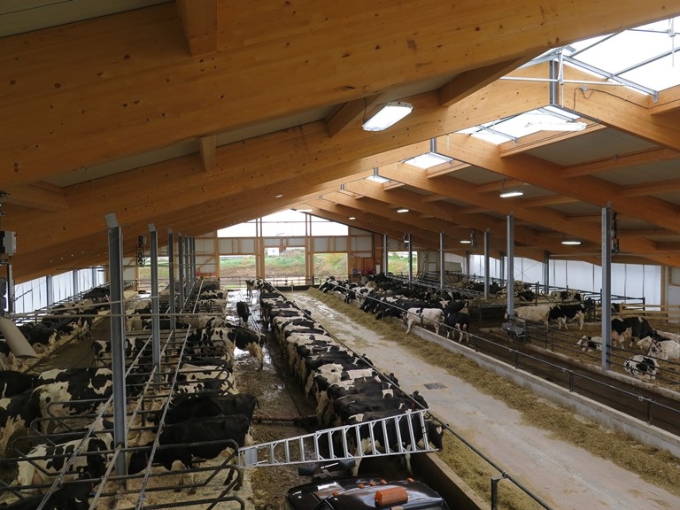 2016 Salisbury, NB - Dairy barn