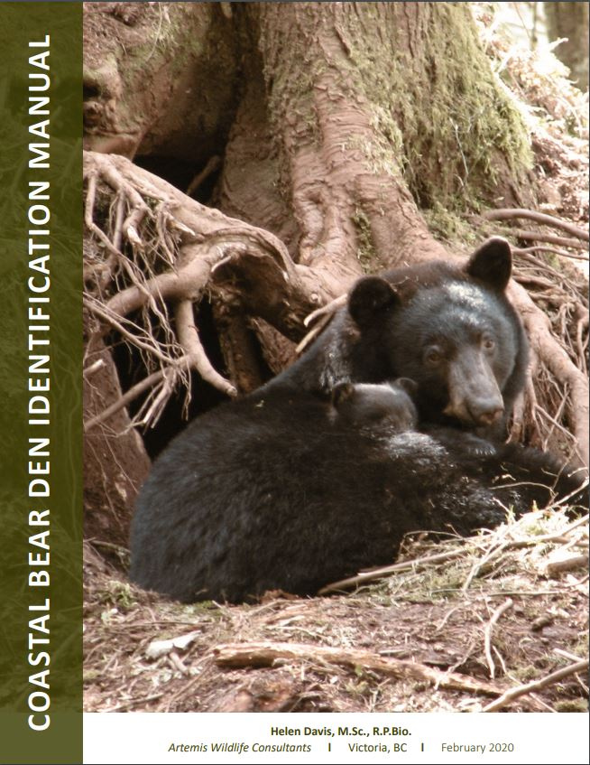 Conservation Of Bear Dens In Coastal Bc