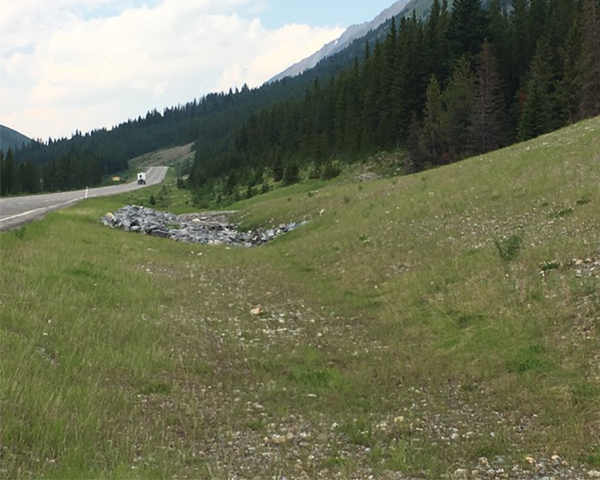 A grassy field near a highway