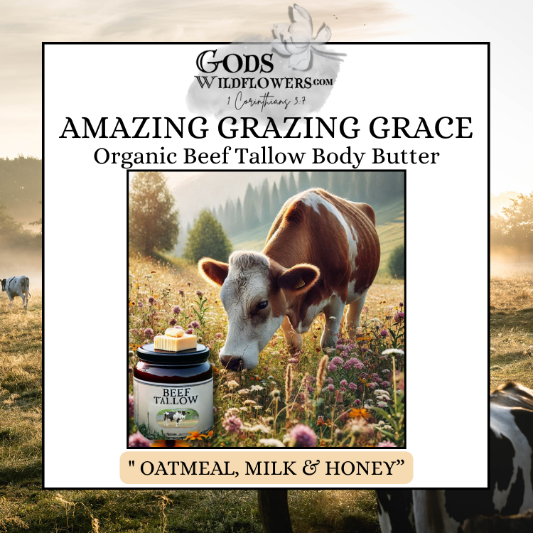 https://0901.nccdn.net/4_2/000/000/03f/ac7/beef-tallow-body-butter--oatmeal--milk---honey-.png
