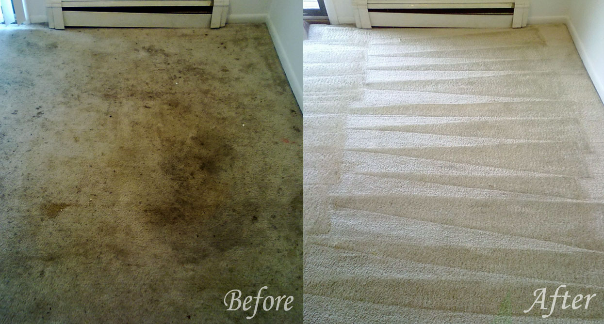 https://0901.nccdn.net/4_2/000/000/03f/ac7/carpet-cleaning-before-and-after-chicago-il-cornelia-carpet-cleaning.jpg