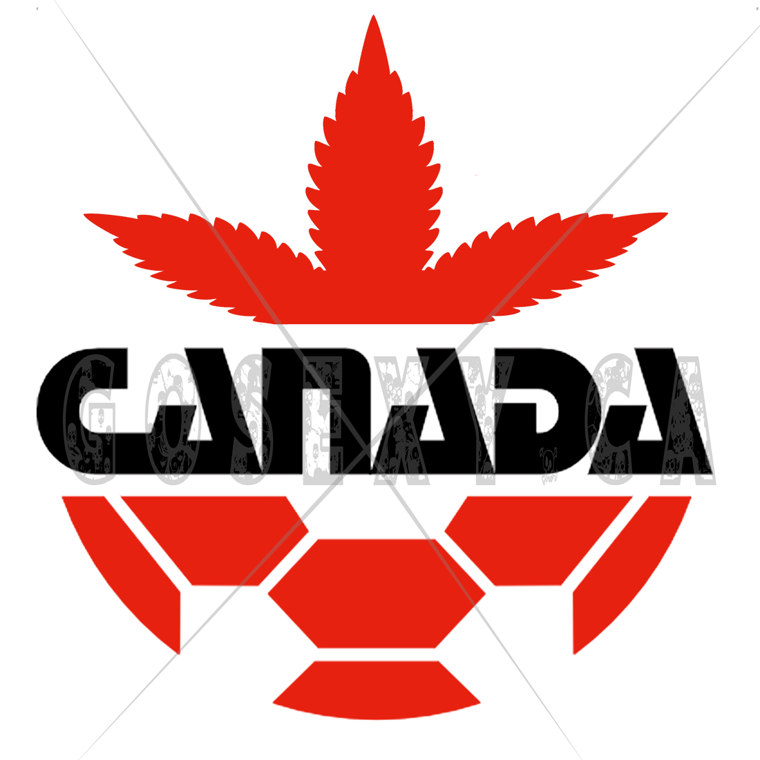 Hat & Apparel Printing, Contour Media Graphics and Custom Vectored illustration GoSexyCA