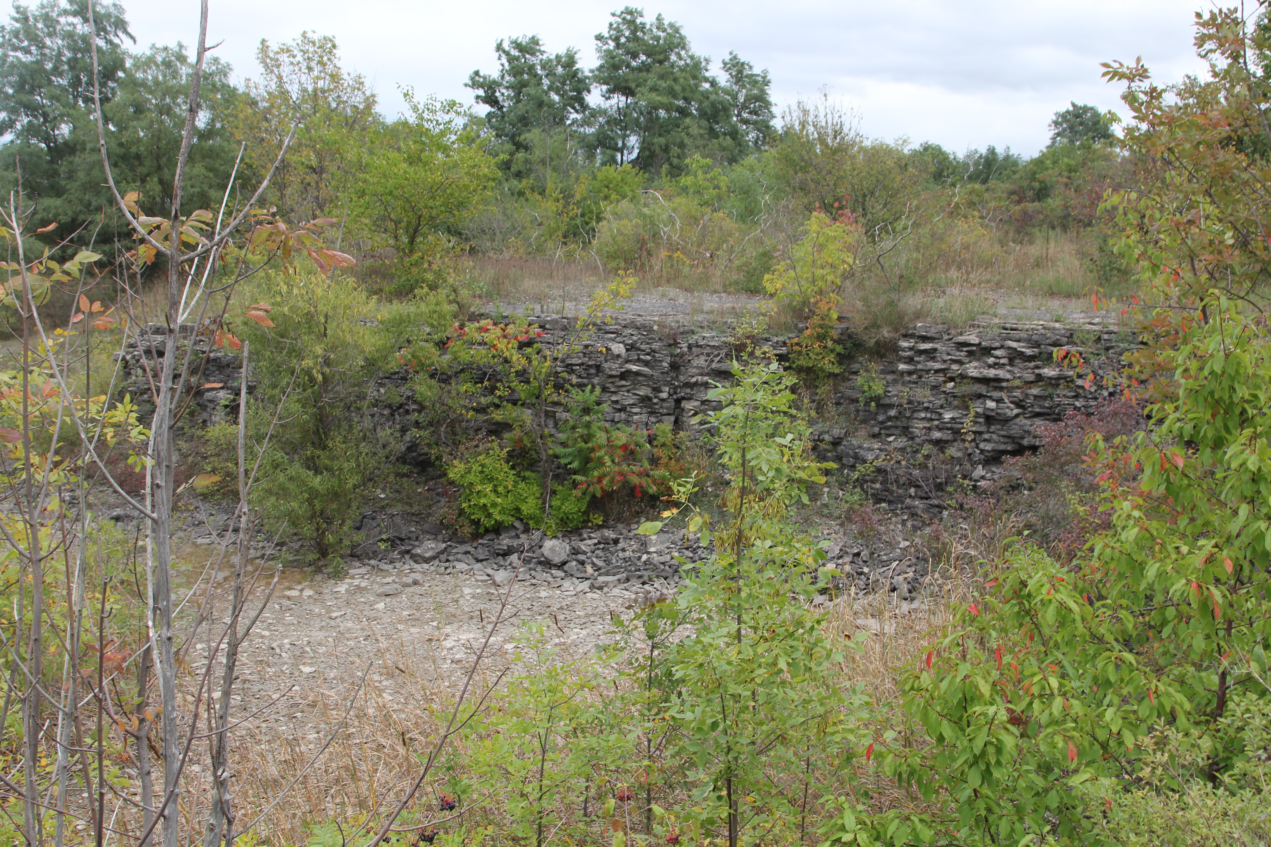 Abandoned quarry lands.