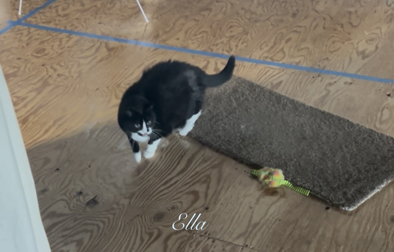 Ella