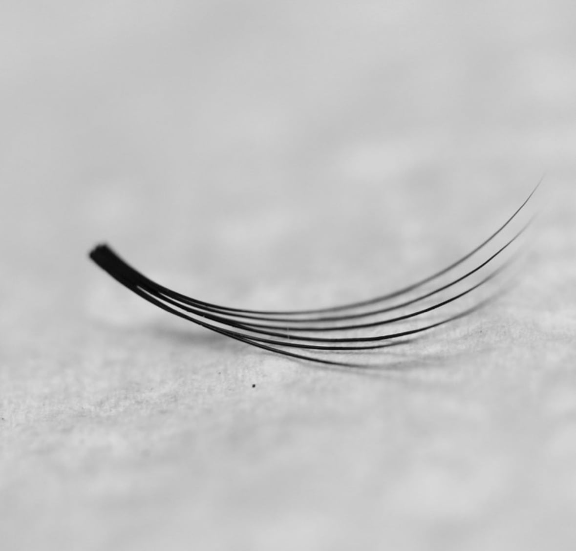 Close-up of false eyelash on a textured surface