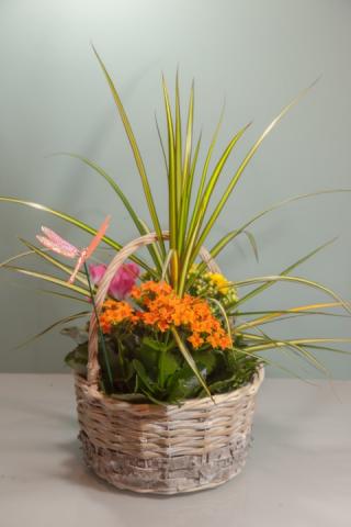 https://0901.nccdn.net/4_2/000/000/03f/ac7/lcp-planter-6.jpg