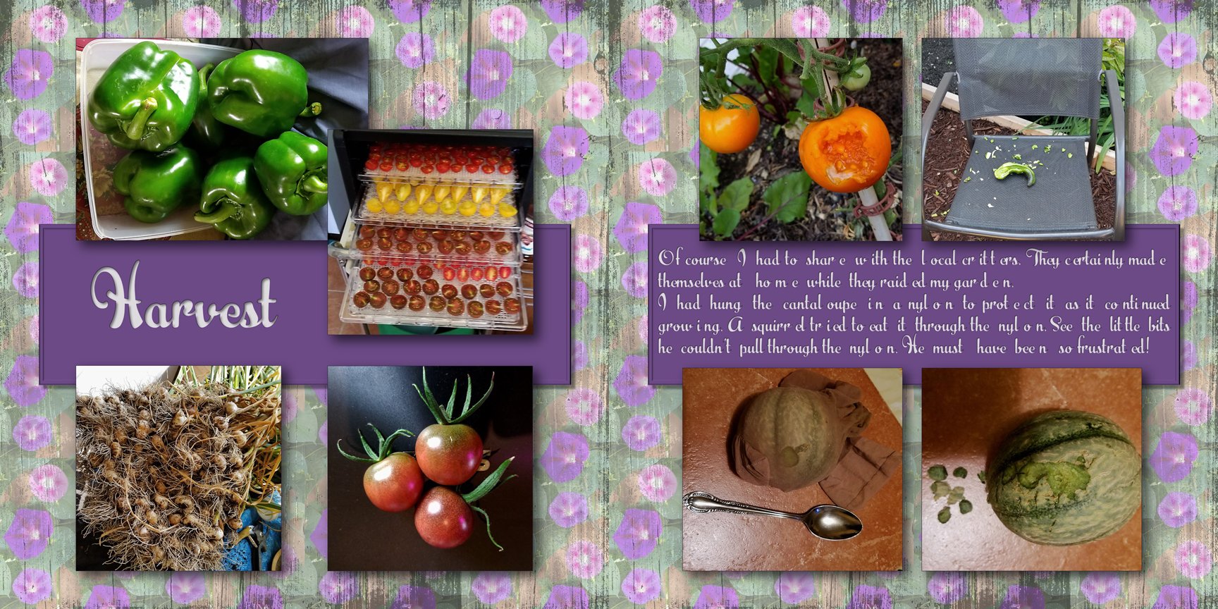 https://0901.nccdn.net/4_2/000/000/03f/ac7/mygarden2018_10.jpg