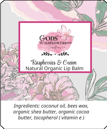 https://0901.nccdn.net/4_2/000/000/03f/ac7/organic-lip-balm-raspberries-and-cream.png