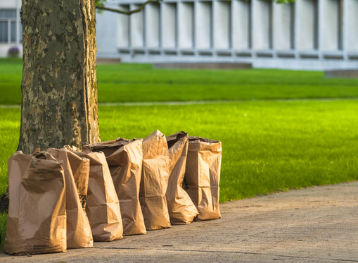 Paper Yard Waste Bags Ready for Collection