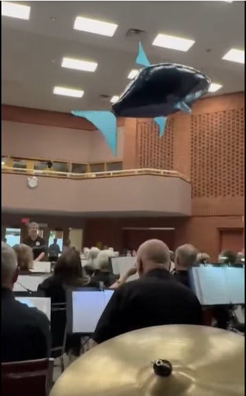 https://0901.nccdn.net/4_2/000/000/03f/ac7/shark.jpg