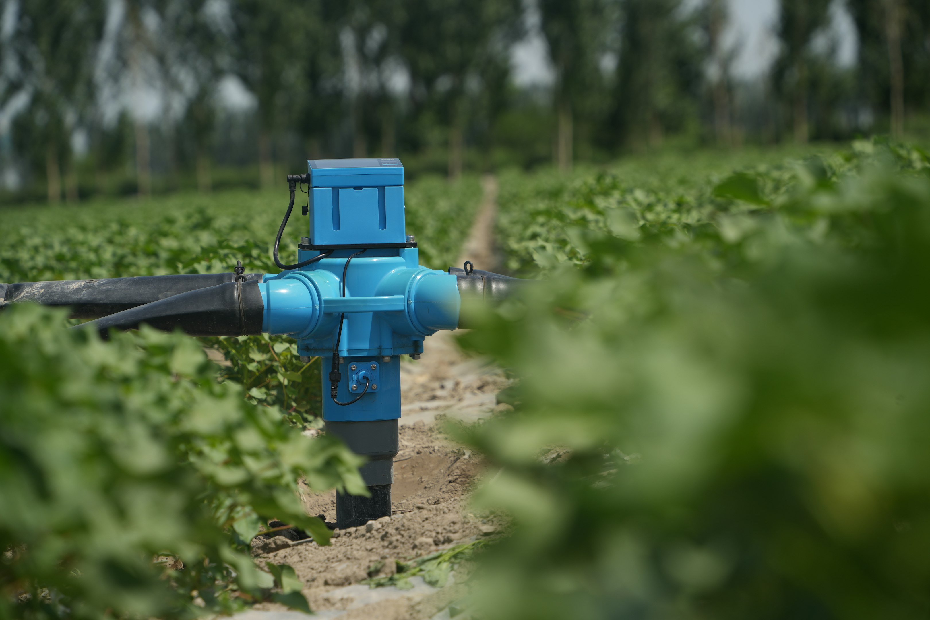Blue irrigation control valve in a green agricultural field with rows of plants and blurred background.