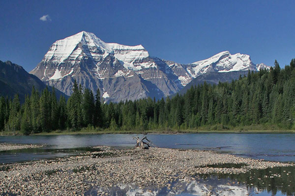 River Bank Near Mount Robson River Bank Near Mount Robson