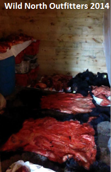 https://0901.nccdn.net/4_2/000/000/046/6ea/2014-ontario-black-bear-hunt-wild-north-outfitters-freezer1.jpg