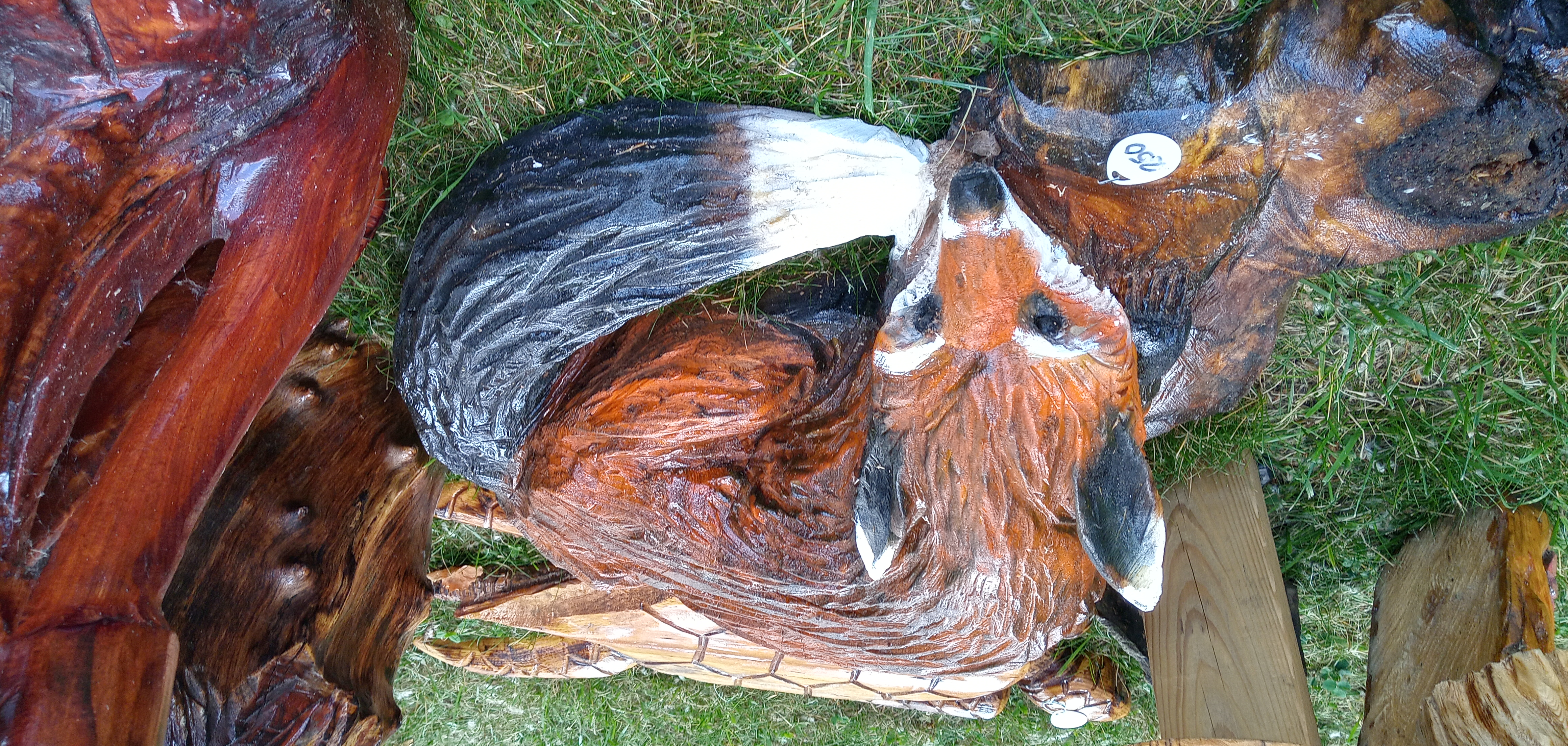 https://0901.nccdn.net/4_2/000/000/046/6ea/20220730_133152_hdr.jpg