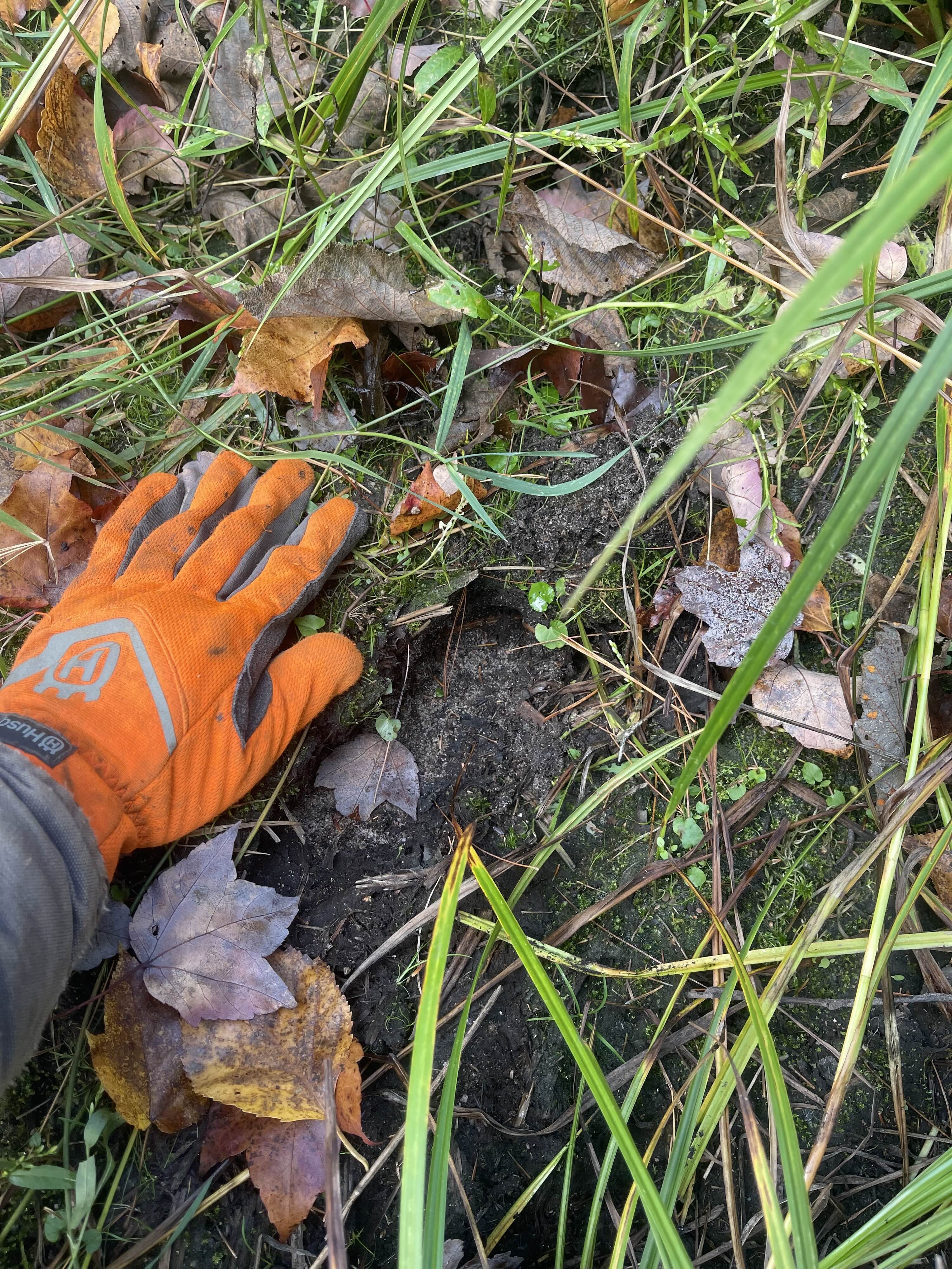 https://0901.nccdn.net/4_2/000/000/046/6ea/2025-guided-moose-hunting-ontario-mineral-track-copy.jpg