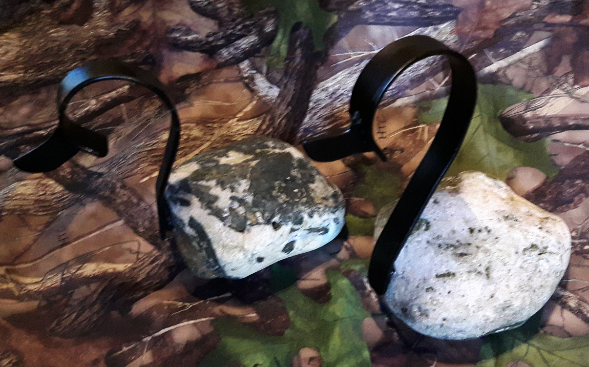 Rock art, Rock duck, Campbell river BC, Vancouver island BC, Vancouver BC, Victoria BC, British Columbia,Alberta