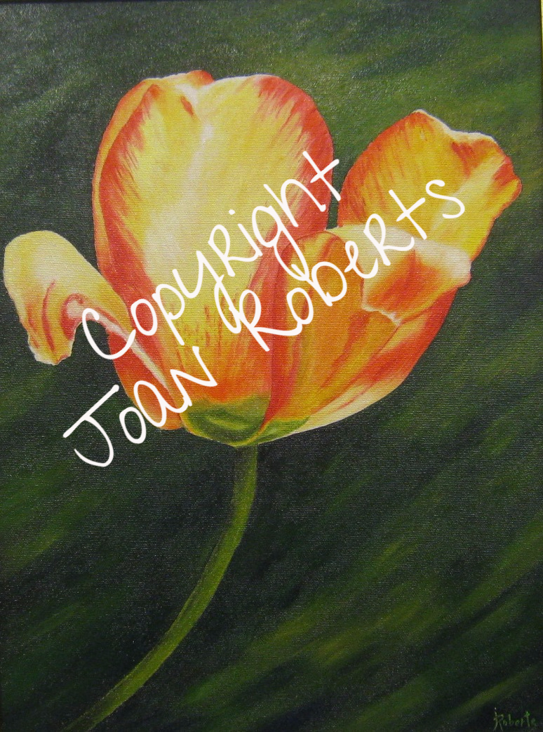 Tulip
12 x16
$350.00