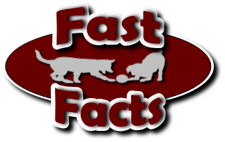 Click to go to the Fast Facts page