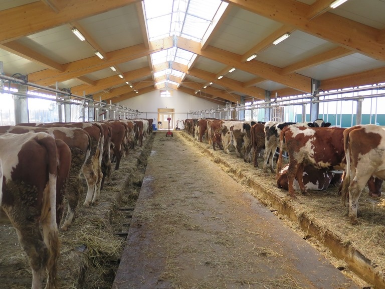 2015 Vankleek Hill - Dairy barn