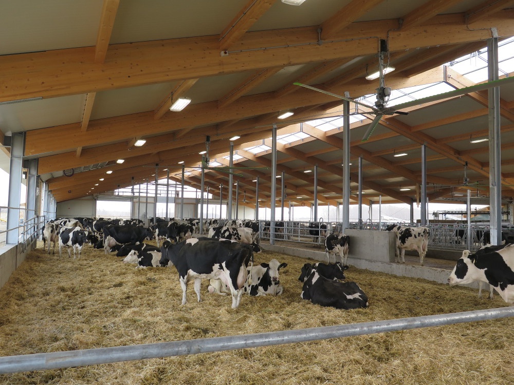 2017 - Manitoba - Dairy barn