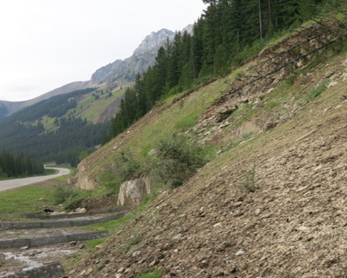 A hill with rocks and soil