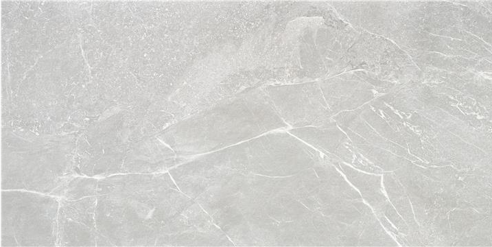 Blade Perla 12" x 24"