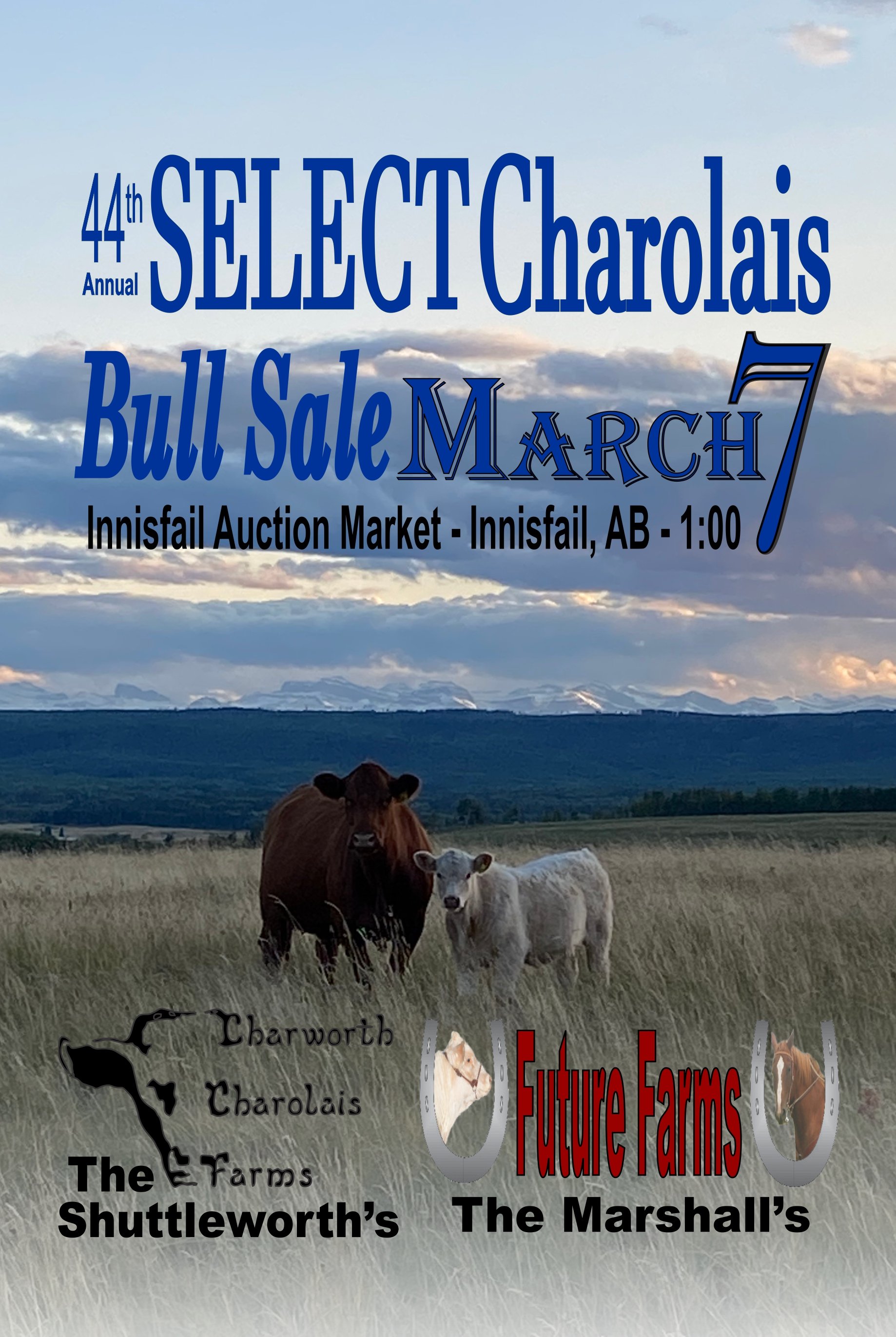 2025 Select Charolais Bull Sale