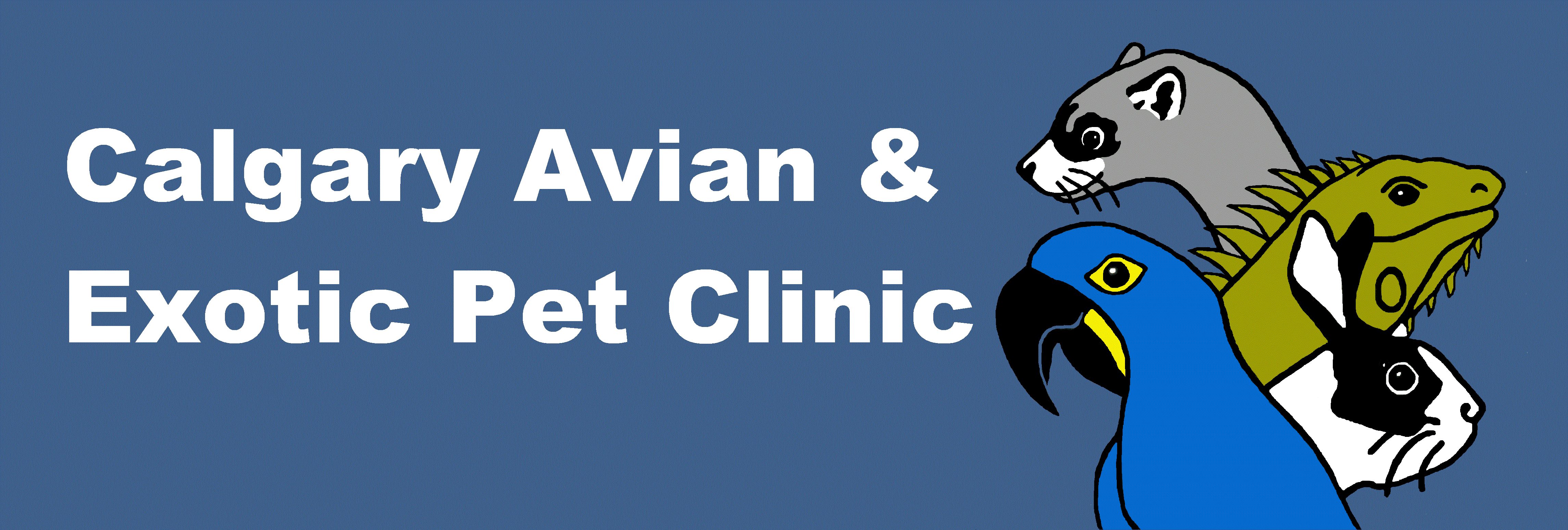 Calgary Avian & Exotic Pet Clinic - Home