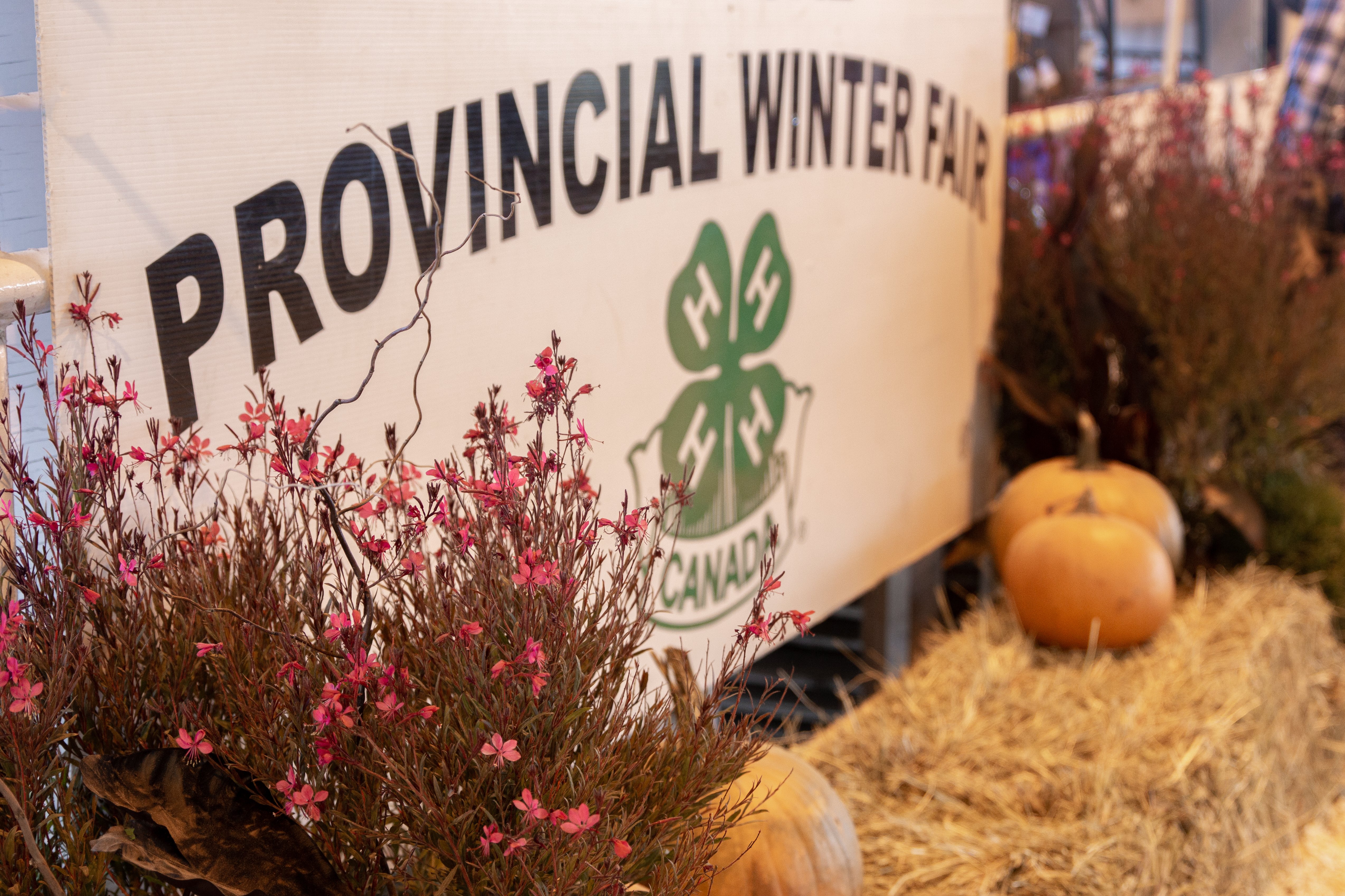 (##AI##(Background.image2.alt)##AI##)