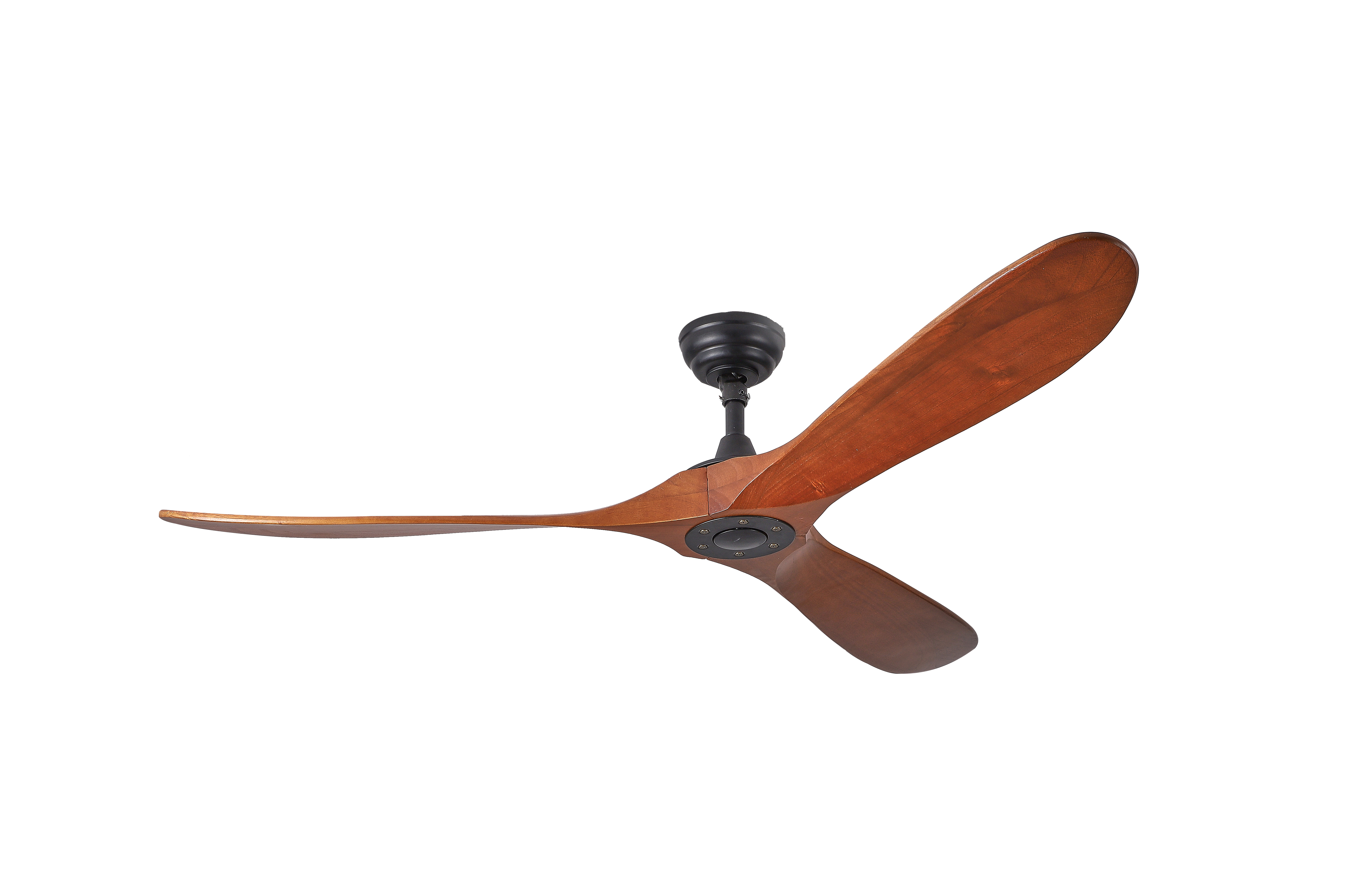 151 LIT160BK-WN
Regular $787.99
Blowout $354.99 no tax