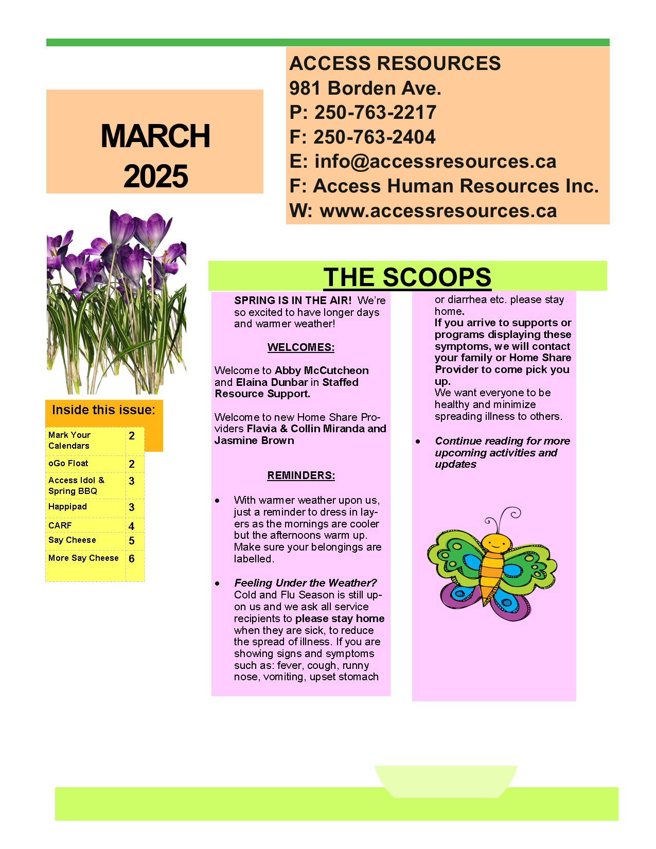 November 2024 Newsletter