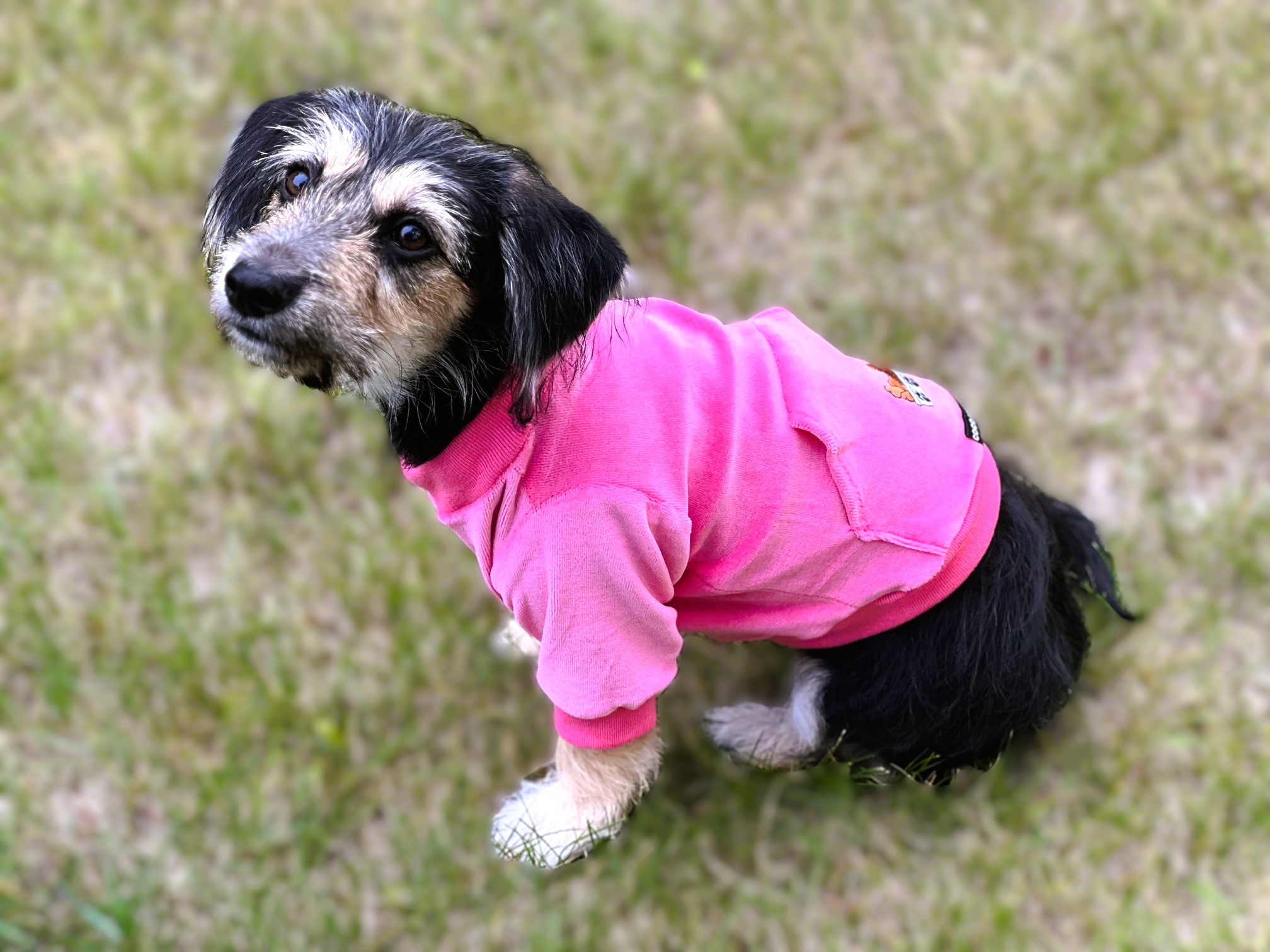 Velour Sweatshirt - Pink