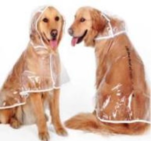 https://0901.nccdn.net/4_2/000/000/046/6ea/rain-big.jpg