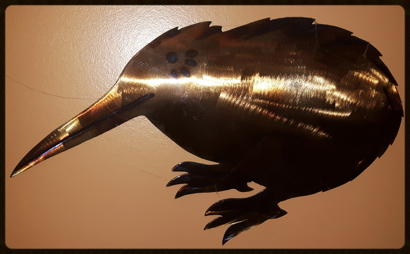 Kiwi bird