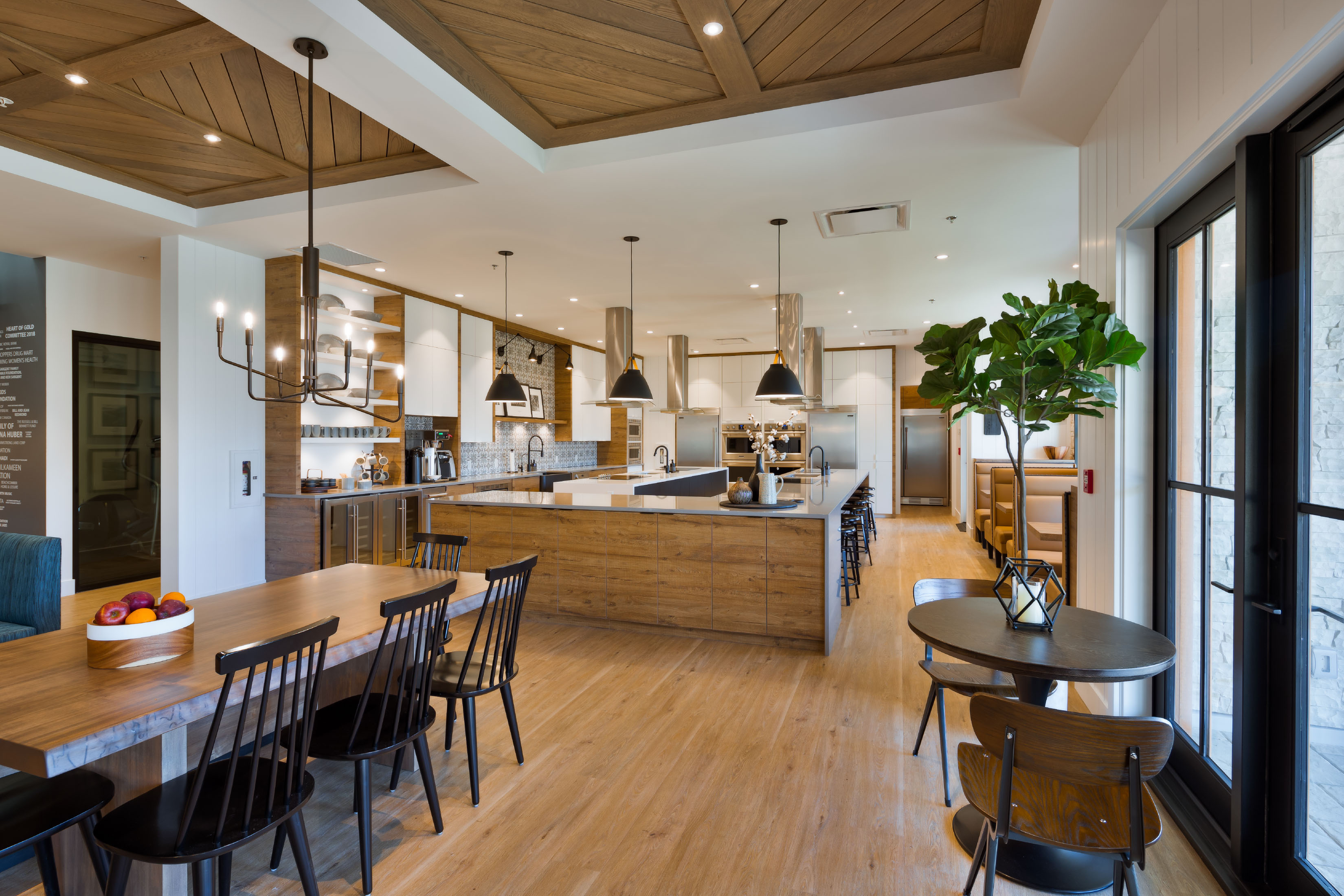 Luxurious Kitchen Area