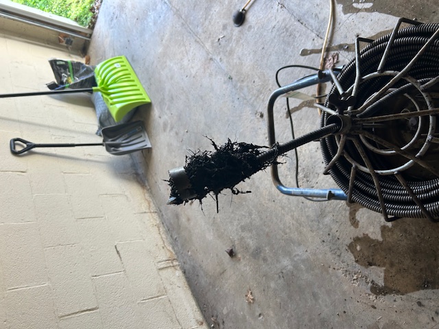 Person cleaning a black kitchen sink with a brush wearing yellow gloves and surrounding colorful cleaning supplies.
