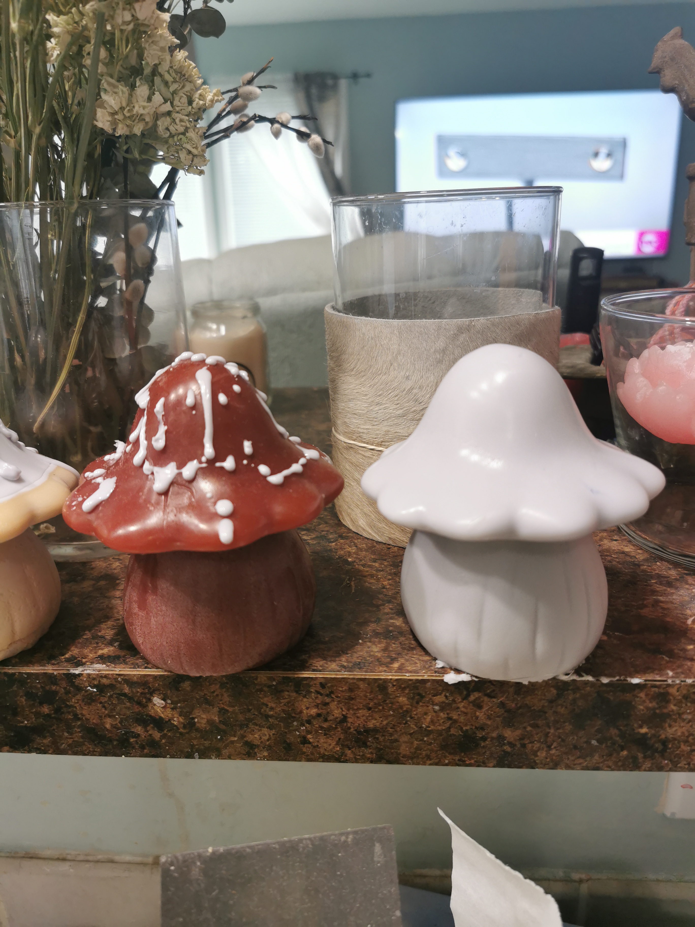 Mushroom Candle or Soap

$35.00