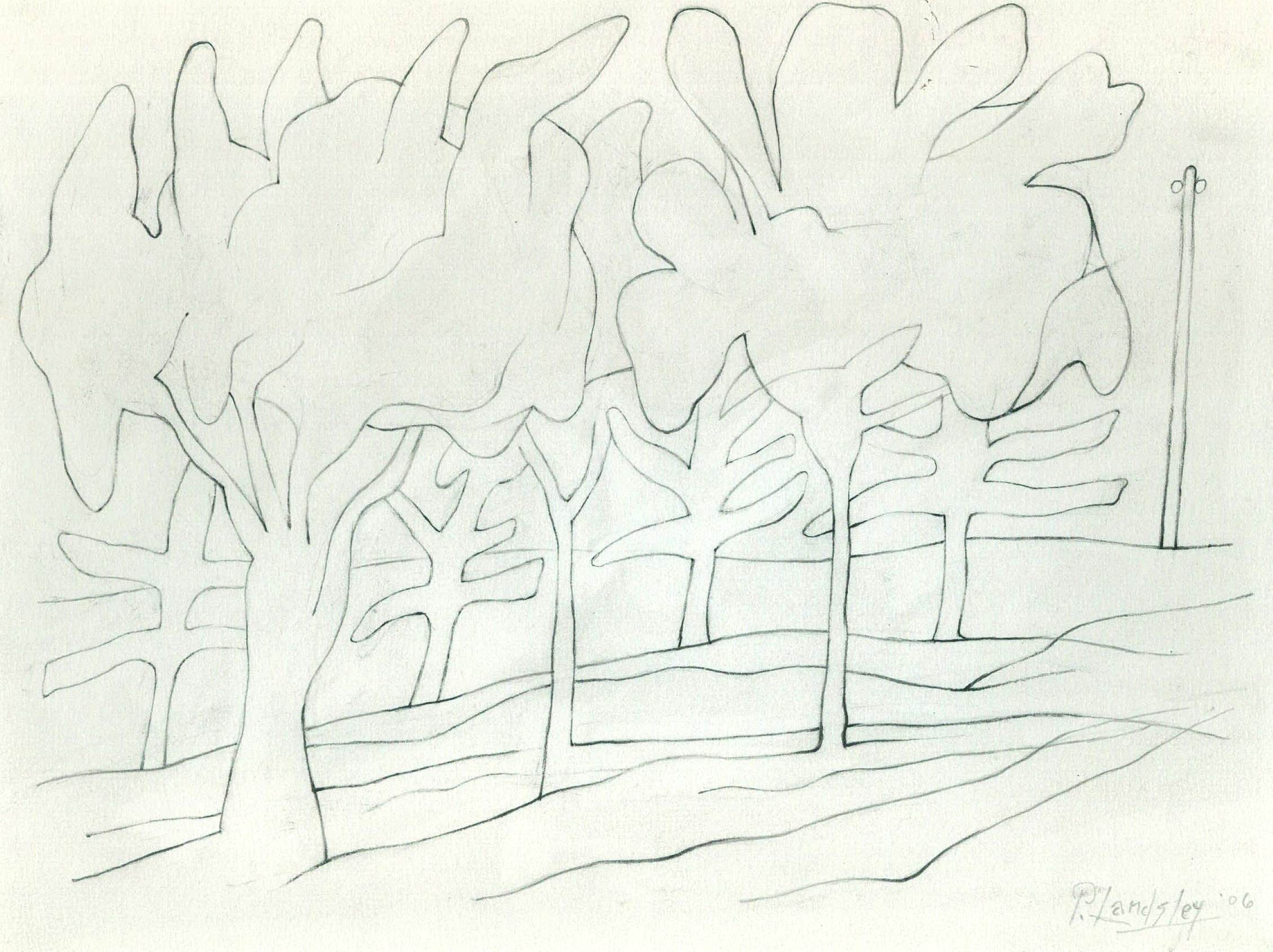 Tree in a park, graphite on paper