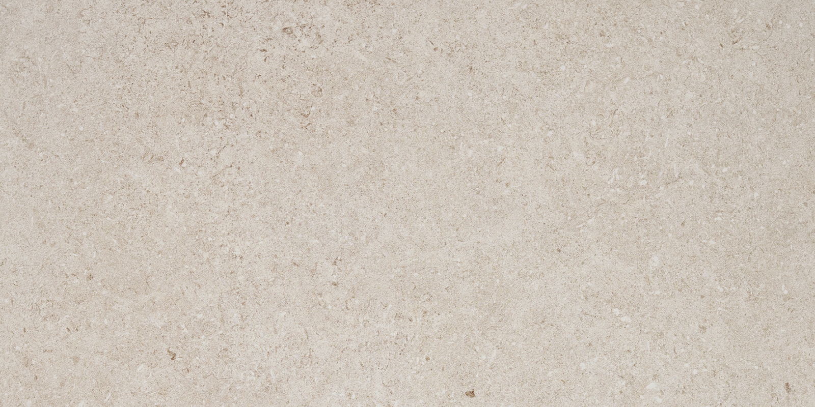 Lomma Bone matte 12" x 24"