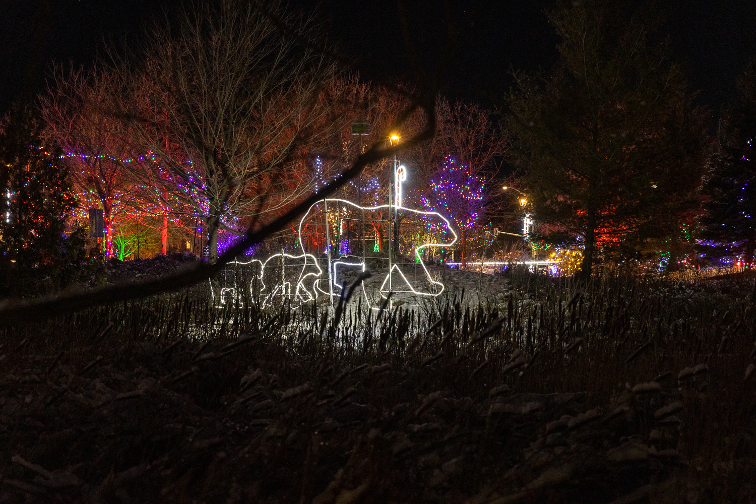 Snow-covered ground with warmly lit trees and reflections near a festive building at night.
 Snow-covered ground with warmly lit trees and reflections near a festive building at night.