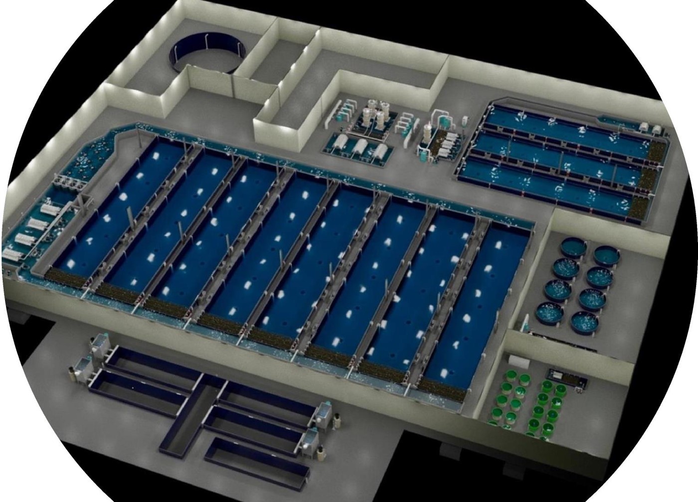 Recirculating Aquaculture System