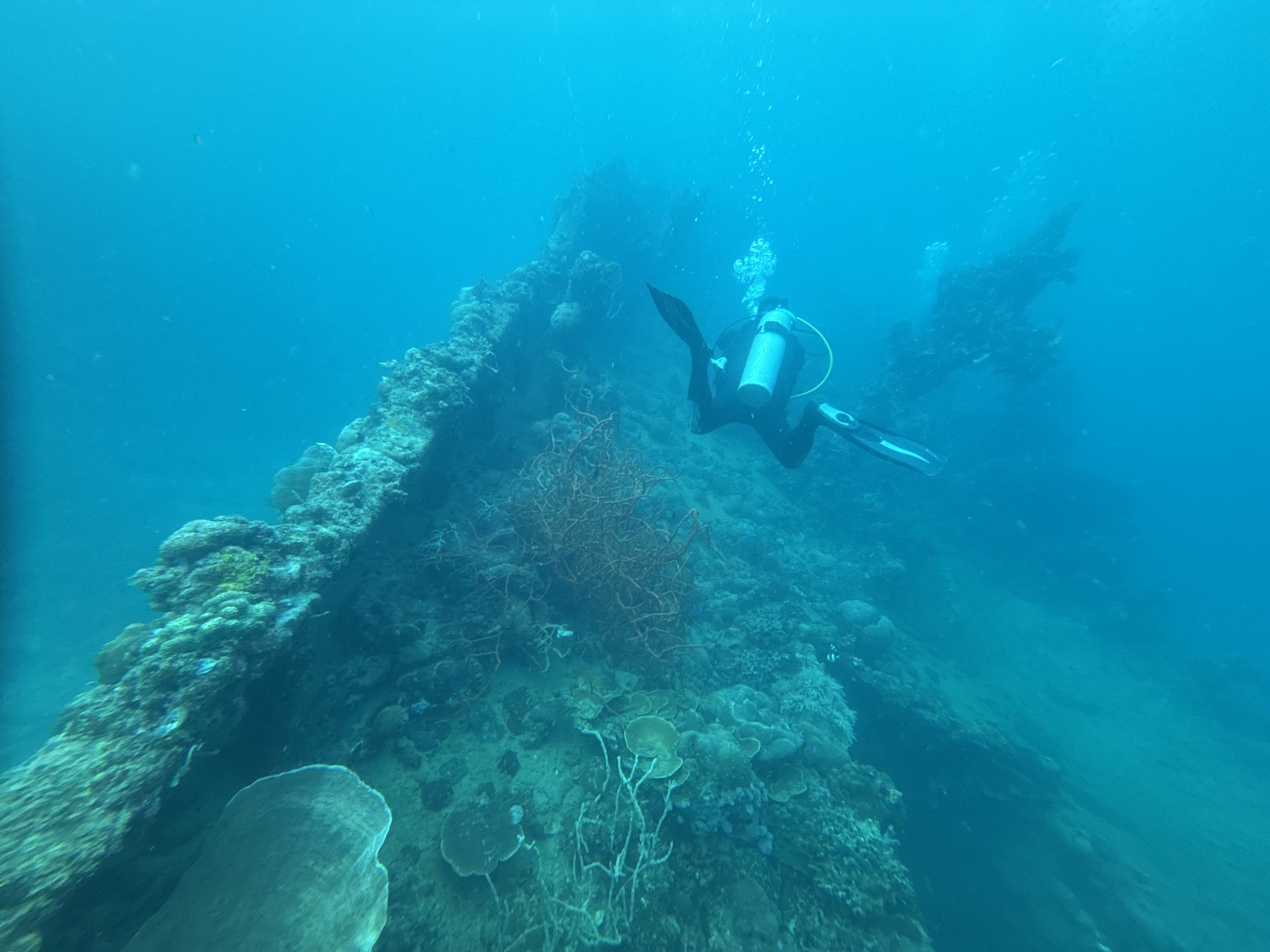 https://0901.nccdn.net/4_2/000/000/048/0a6/sportdiver_20250105_092255.jpeg