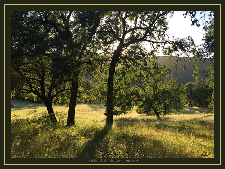 Landscape Photography (26x19.5)
Butte Creek Canyon, California
<< SunLight >>