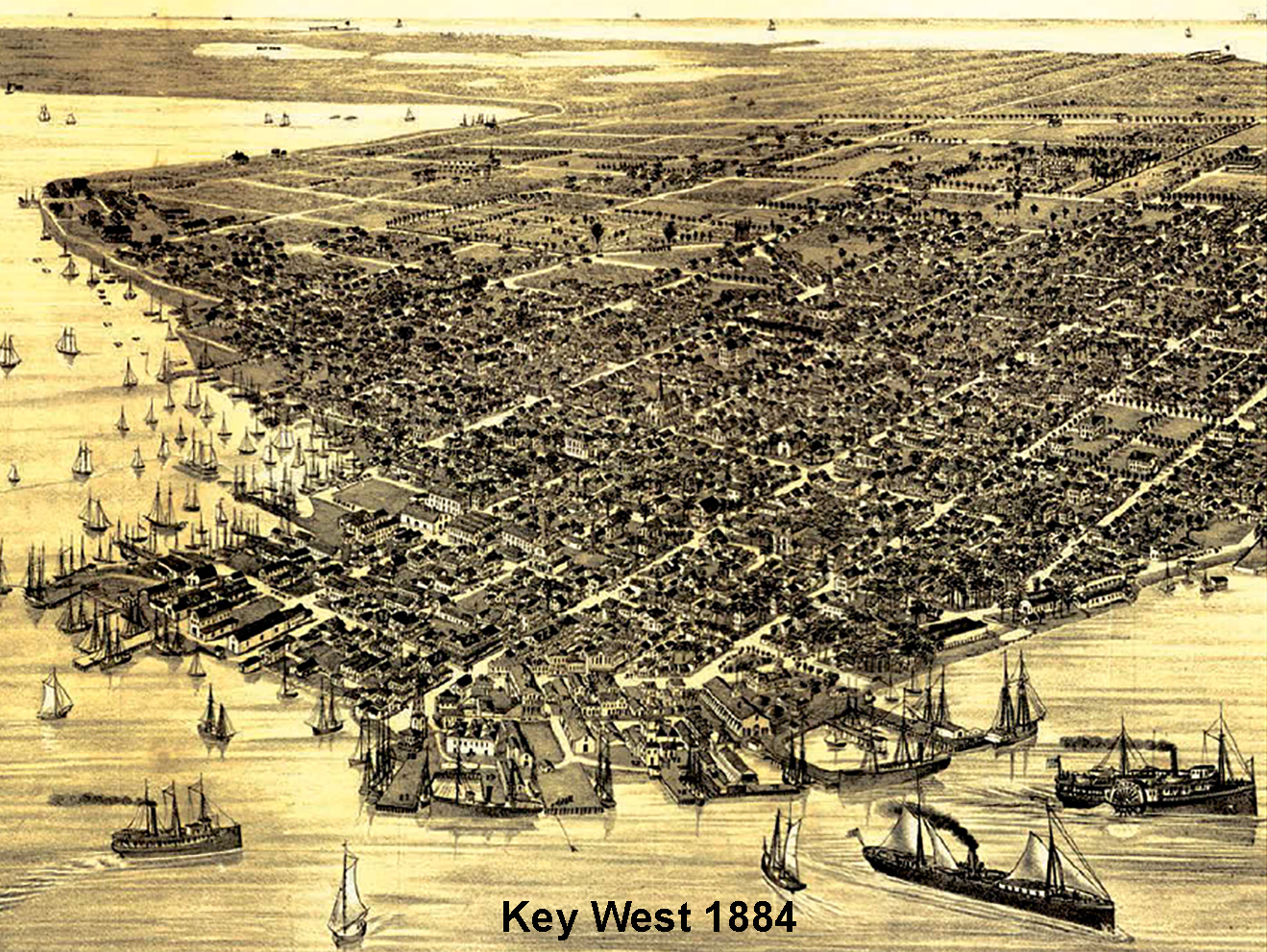 https://0901.nccdn.net/4_2/000/000/048/8ad/key-west-1884-copy.jpg