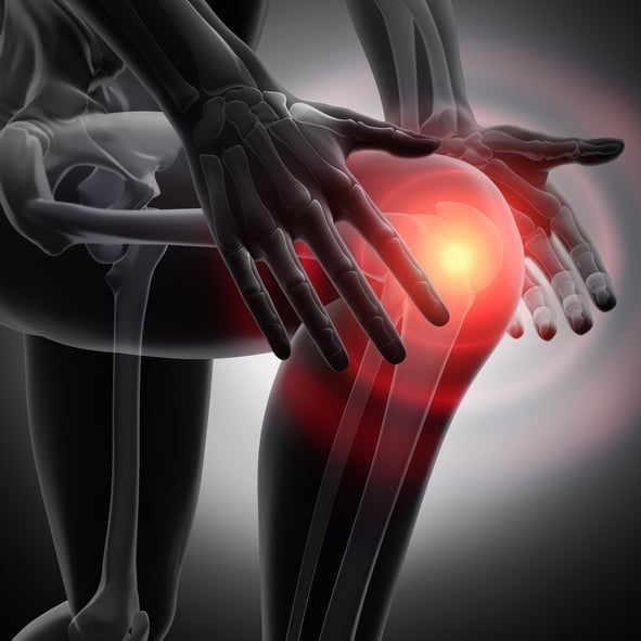 X-ray view of hands holding painful knee joint with red inflammation highlight