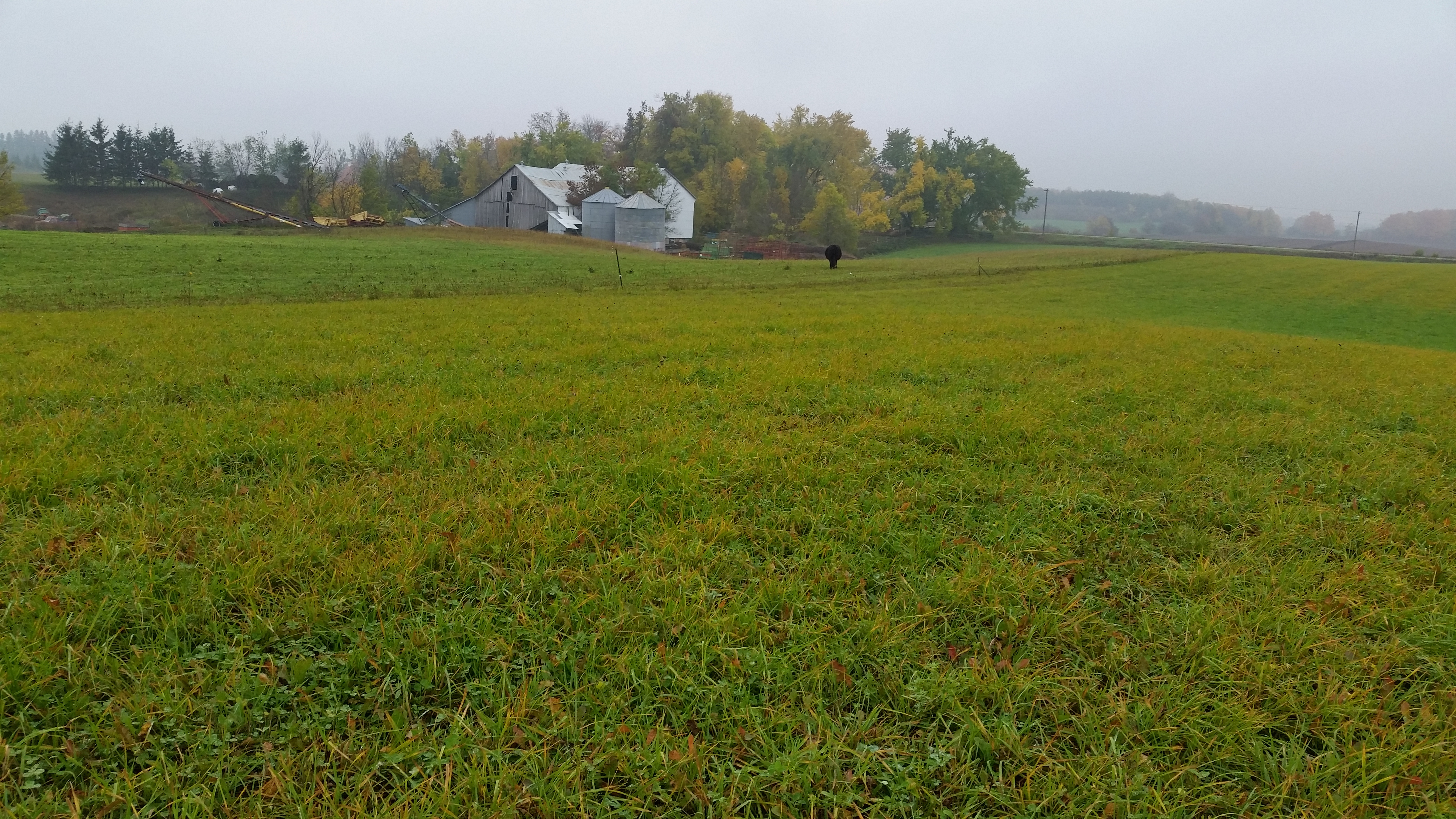 Agricultural facility and land assessment.