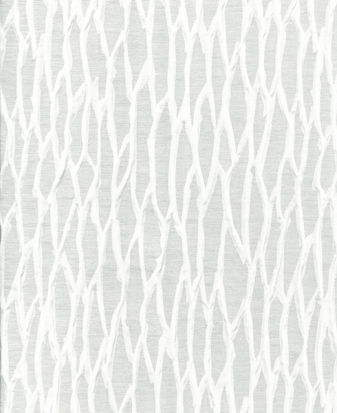 LIBRA 54